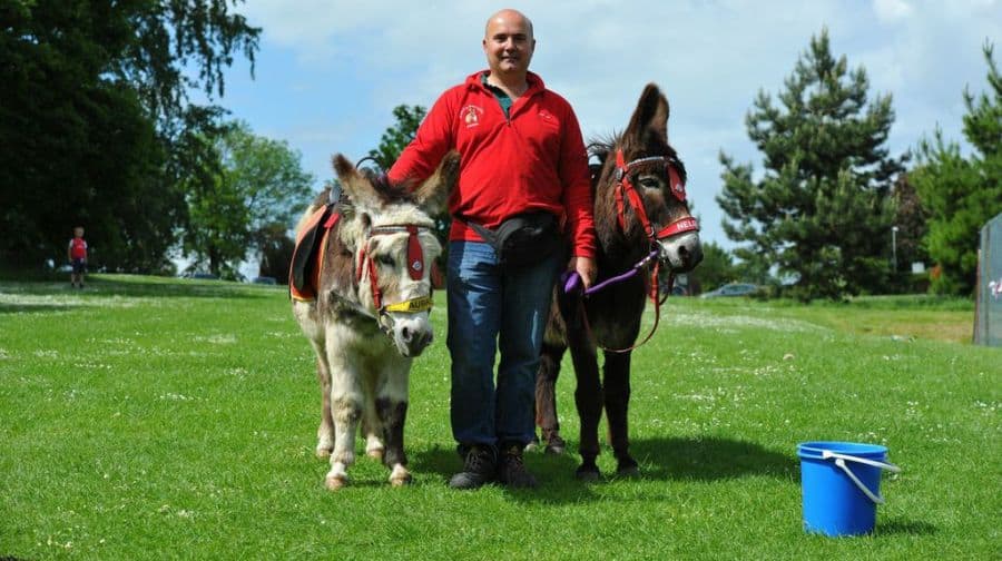 Minder Rob with donkeys Aubrey and Nelson