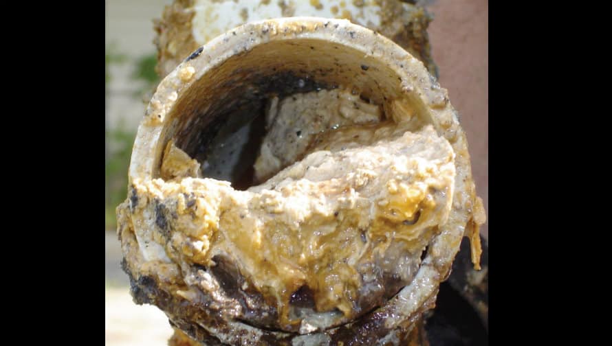 A fatberg - picture  courtesy of Thames Water