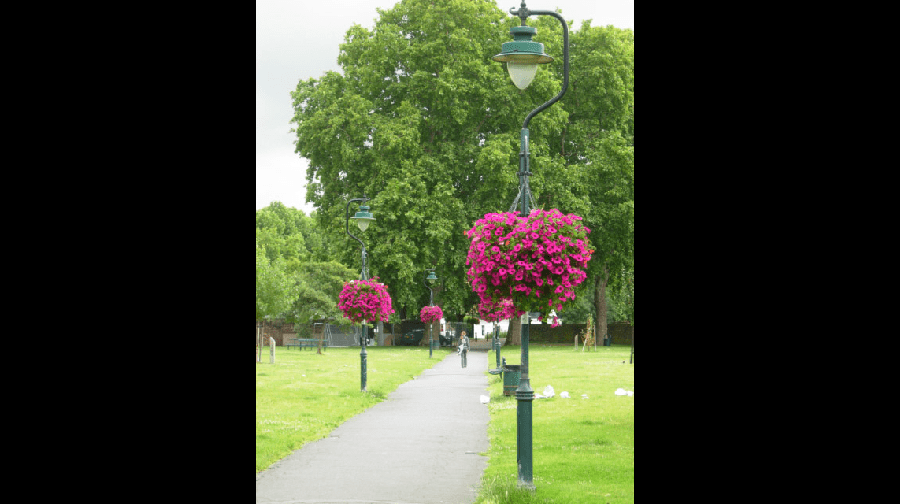 Geraldine Mary Harmsworth Park, photo by Stephen McKay