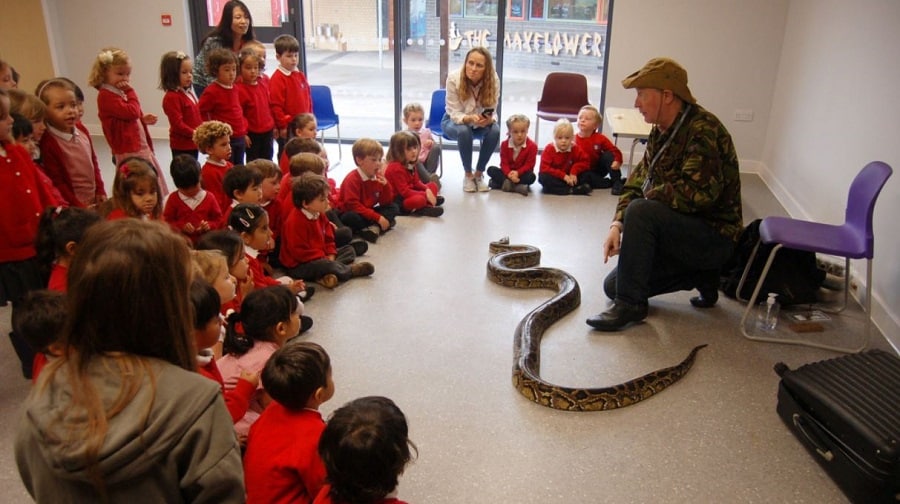 Children at Redriff Primary School learn about reptiles