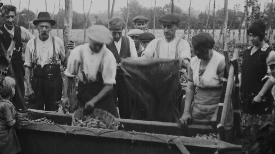 Scenes from 'Oppin (1930) show Bermondsey families hop picking on Kent farms during the summer holidays