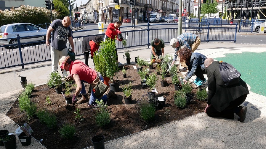 Project volunteers planting close to the site of the Vicar's oak