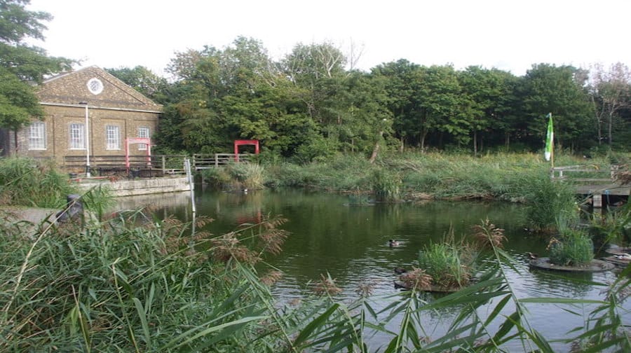 The Lavender Pond Nature Reserve (Geograph)