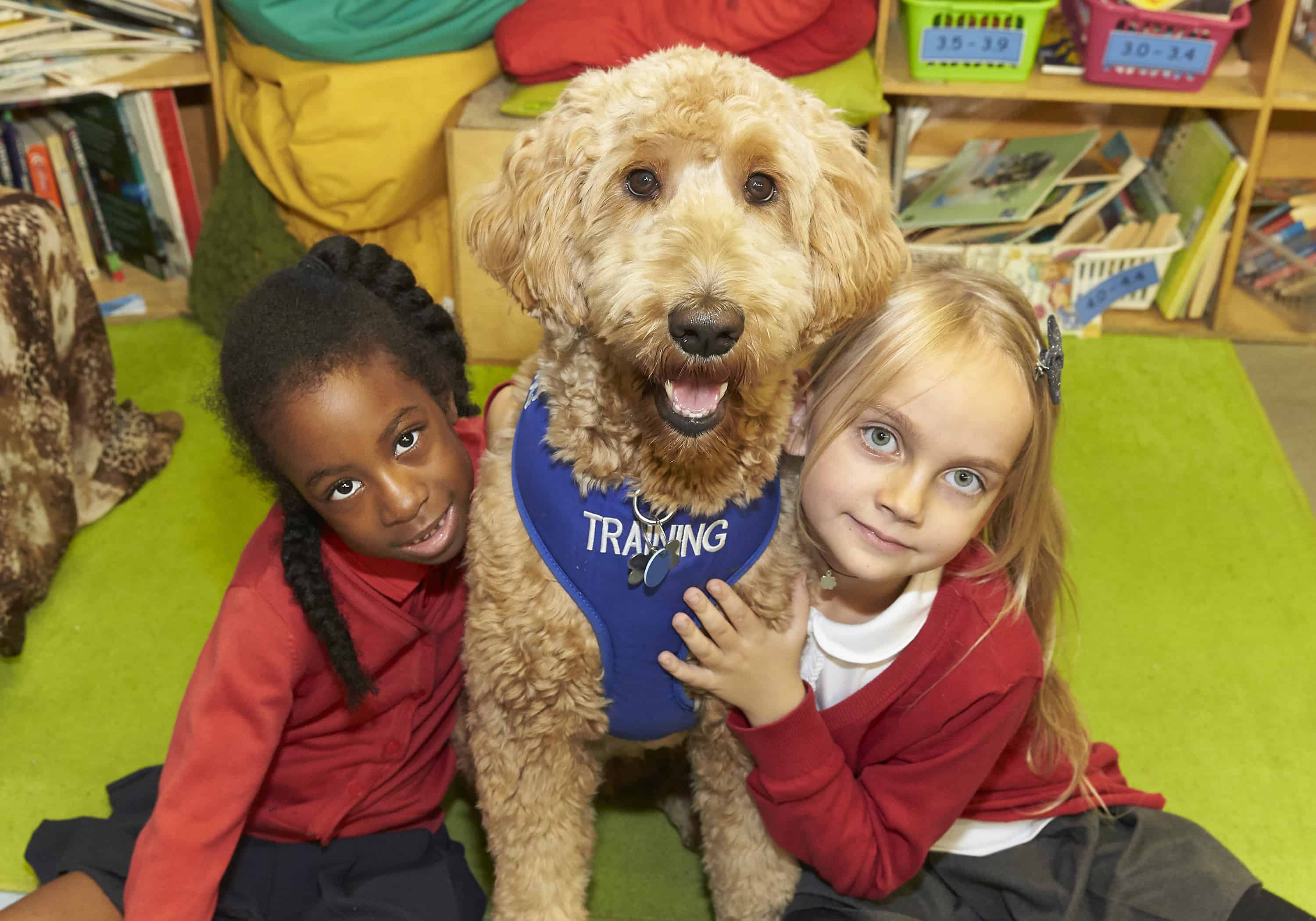 The therapy dog will help pupils with autism ©Clive Totman 2018
