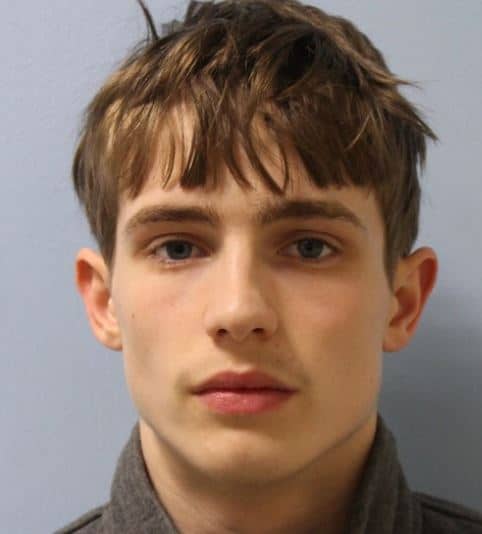 Frankie Batchelor (pictured) was sentenced to five years for his spate of crimes. His 16-year-old accomplice cannot be pictured (Image: Met Police)