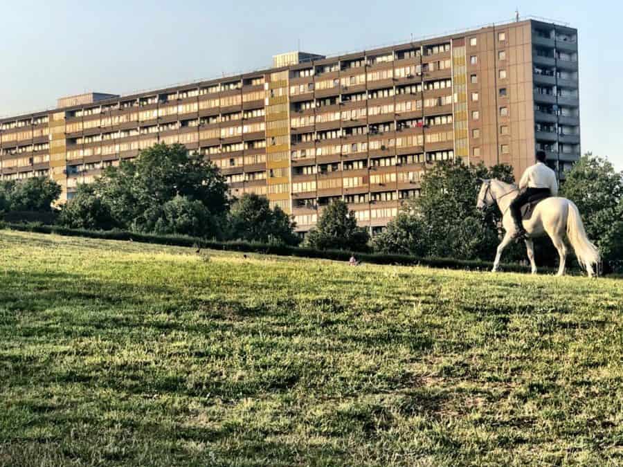 John Boyega rides a white horse in Burgess Park on Tuesday