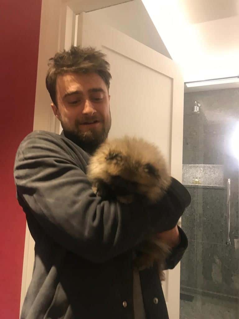 Harry Potter's Daniel Radcliffe is among those the pampered pooch counts as friends