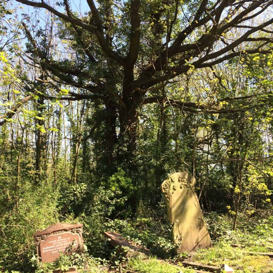 Camberwell Old Cemetery