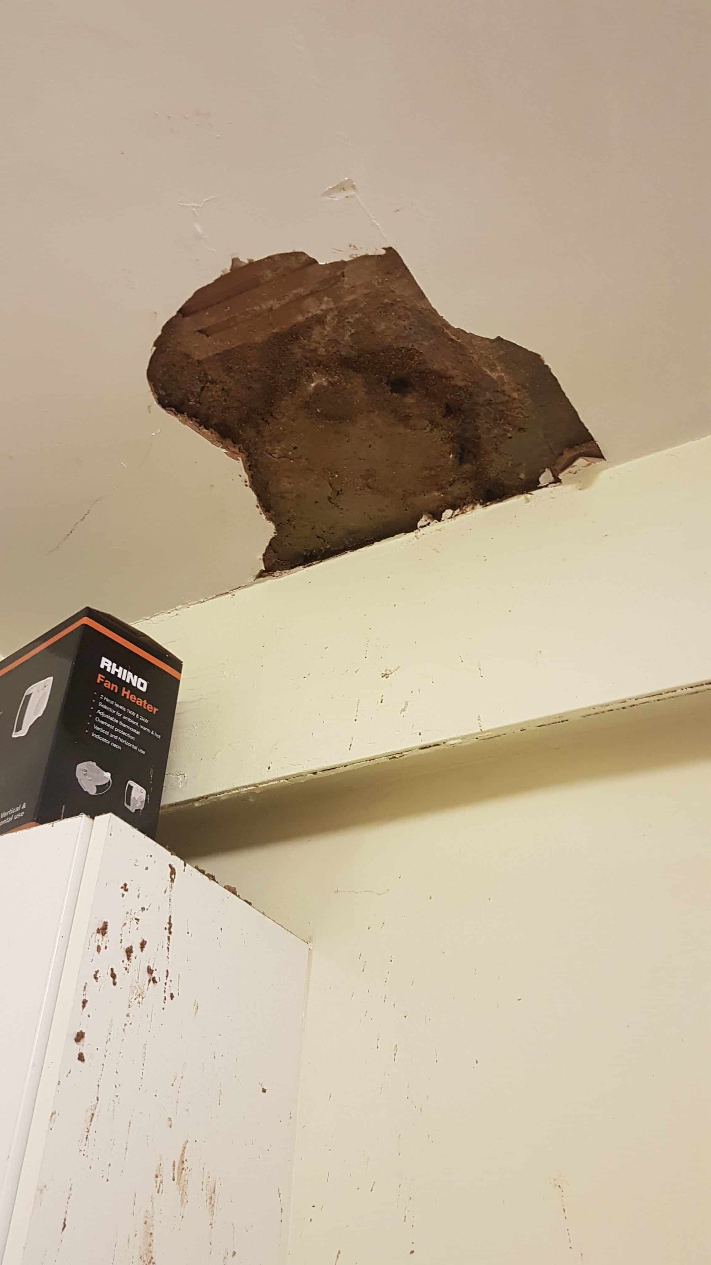 A chunk of the ceiling fell off in the Tissington Court flat
