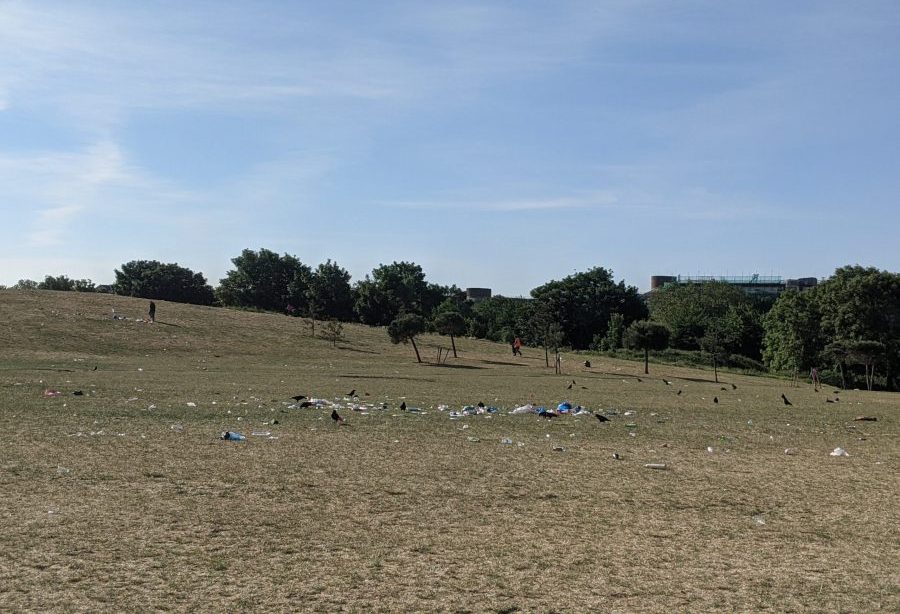 Rubbish strewn across Burgess Park, with trees in the background