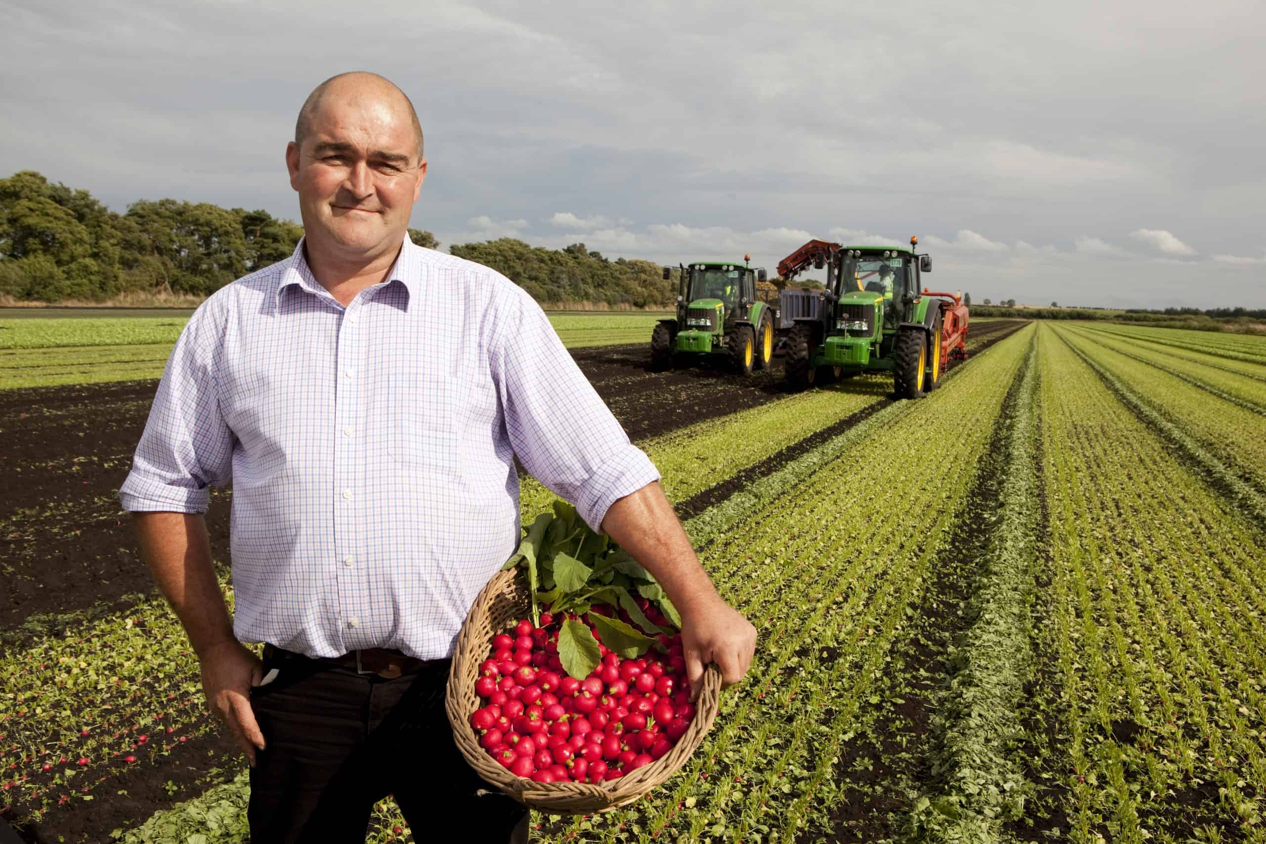 Scott Watson, radish grower at G’s Grower in Feltwell, Norfolk.