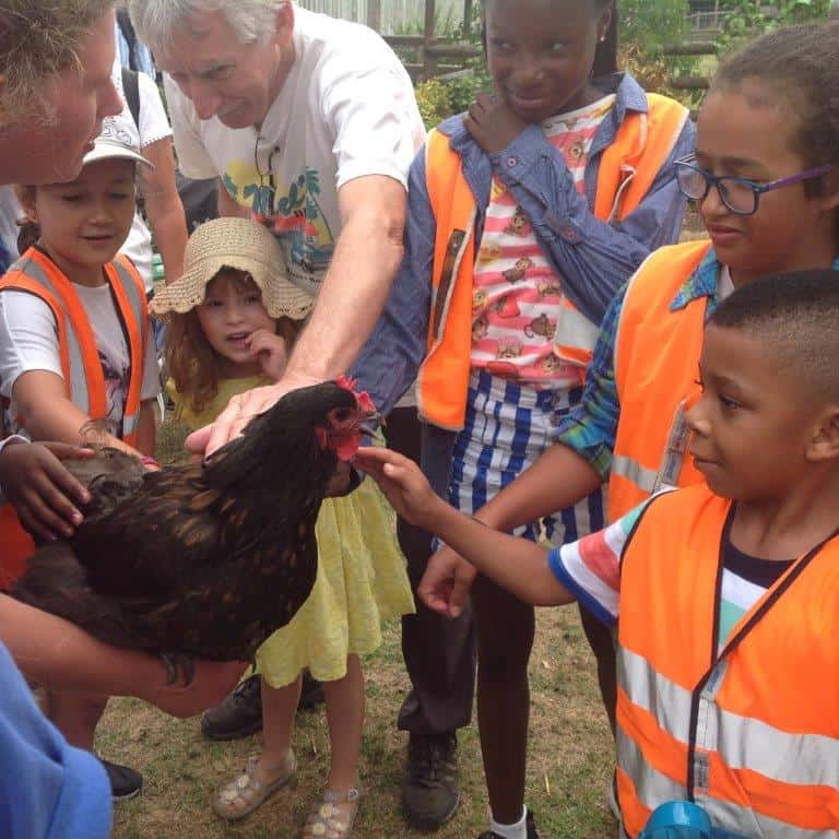 Children enjoying a farm visit organised by CASP before the COVID-19 pandemic