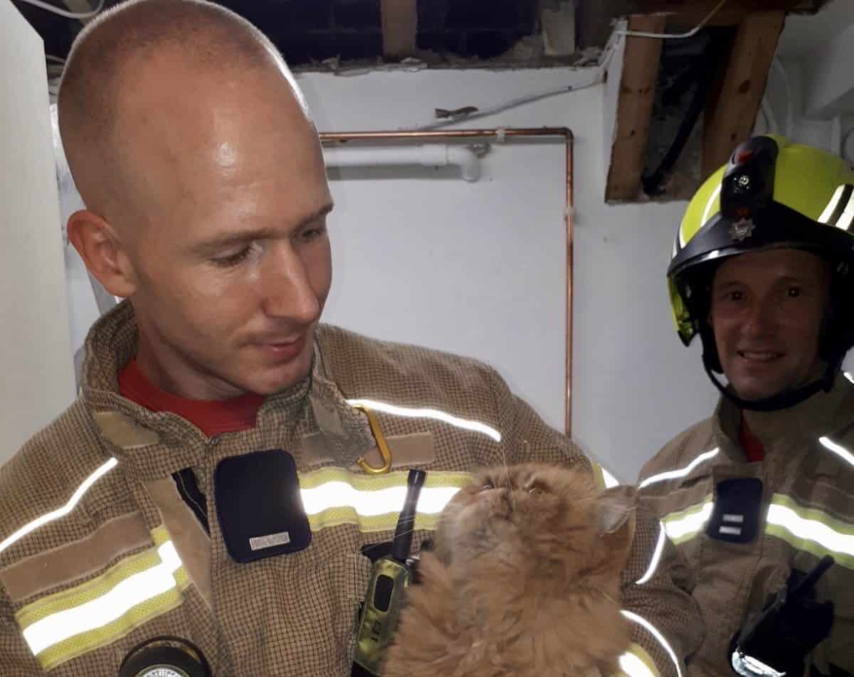 Tiddles with firefighter David Williams