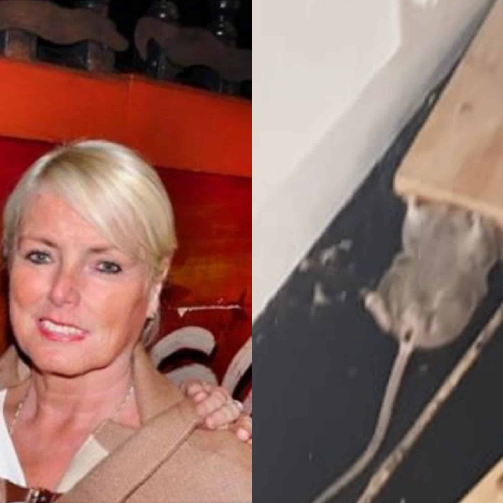Left: Jacquie Gilmartin. Right: a mouse