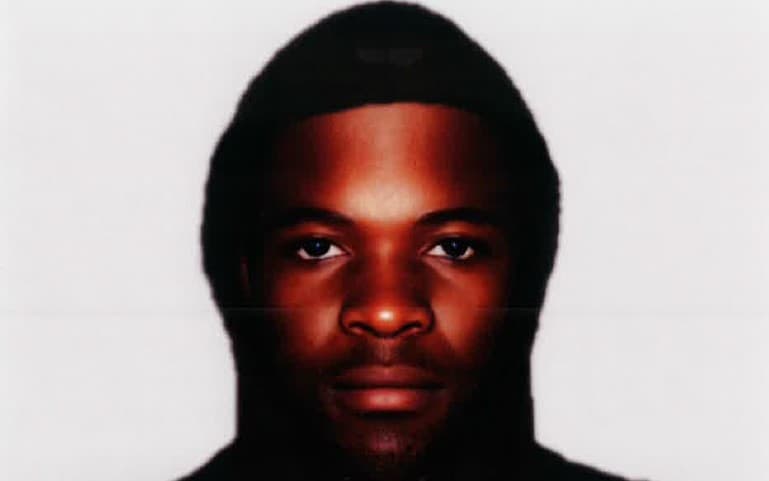 The E-FIT image of the suspect