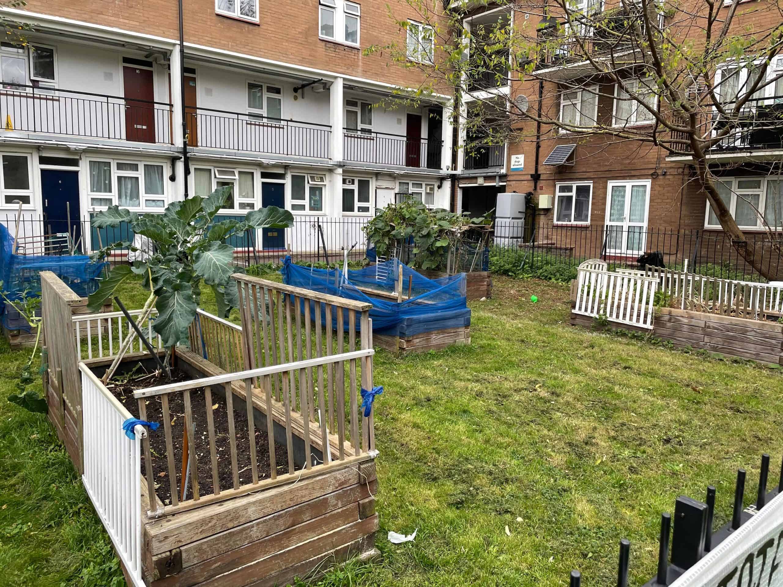The residents currently use the space to grow things as well as let their children outside
