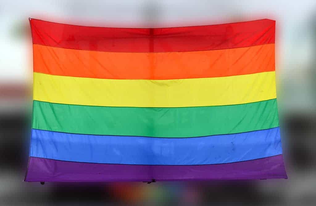 Ths is the LGBT/Gay Pride flag.