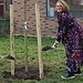 Council leader Kieron Williams planting a tree