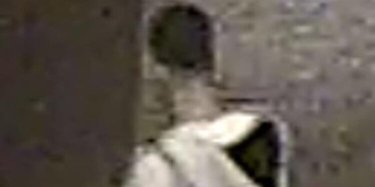 CCTV image from Met Police