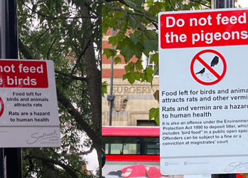 Signs erected by Camberwell Green