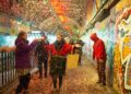 Miracle on Leake Street returns for its fourth year.