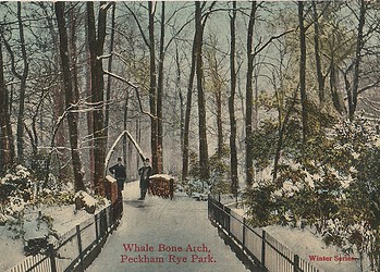 A postcard featuring the Whalebone Arch c.1906.