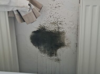 Mould growth on the Kirby Estate