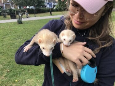 Daphne with her two ferrets