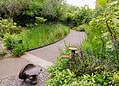 Tate Community Garden. Credit: Bankside Open Spaces Trust