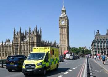 A London Ambulance Service vehicle 
Credit: LAS