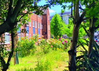 View of the estate. Copyright Debra Gosling
